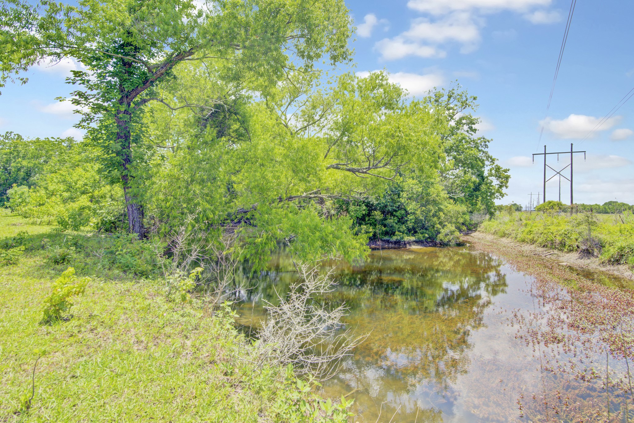 8458 Fm 1960 Property Photo 23