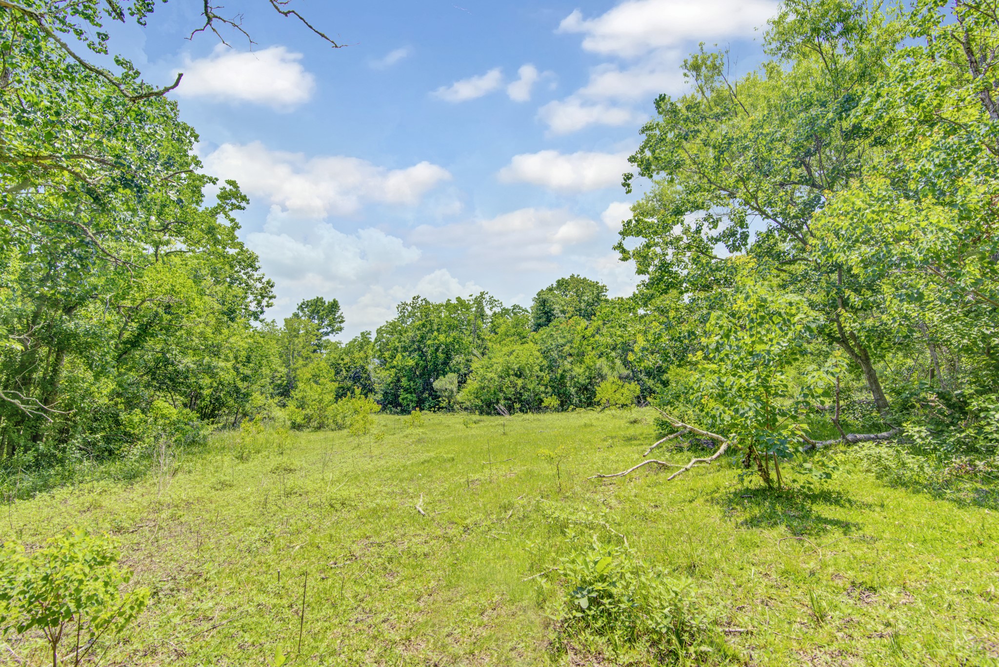 8458 Fm 1960 Property Photo 24