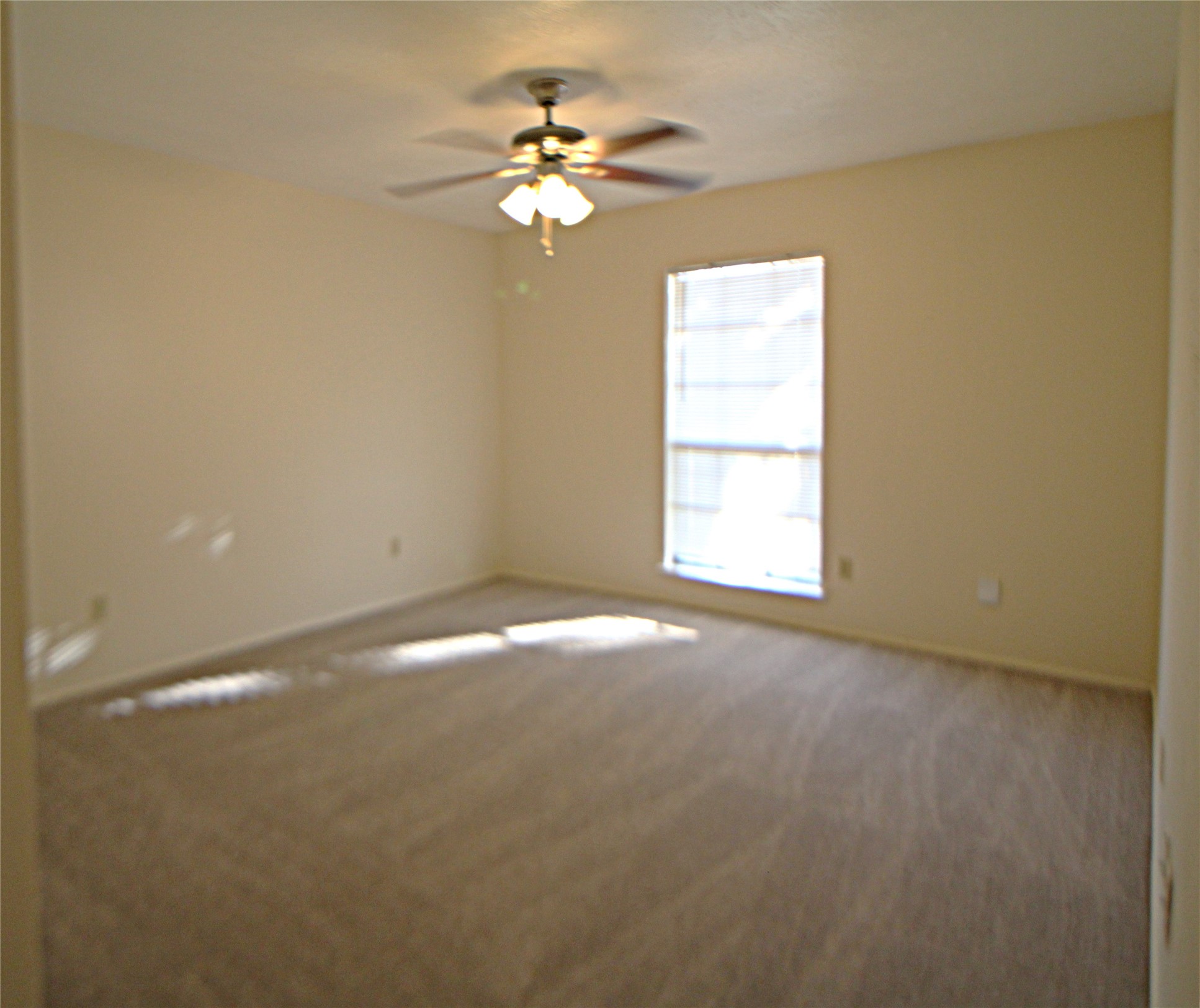 5327 Karenbeth Drive Drive Property Photo 6