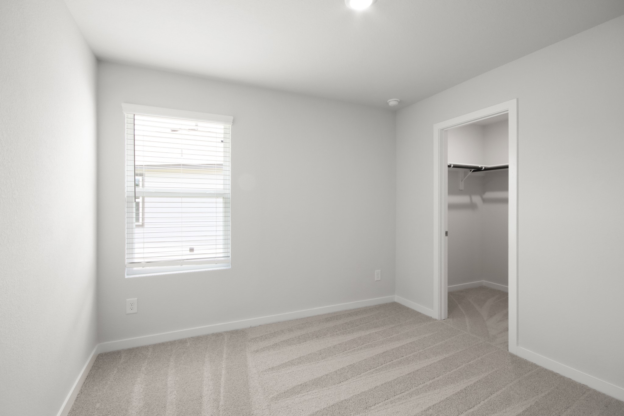 4523 Pleasant Peony Way Property Photo 16