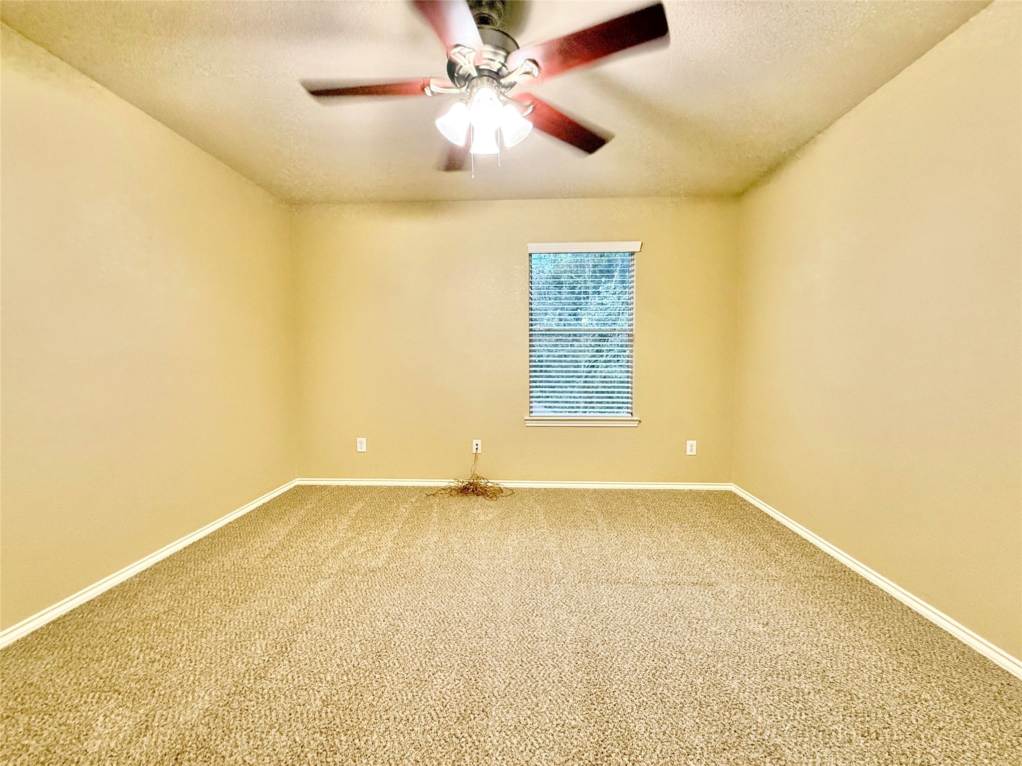 1810 Katlyn Lane Property Photo 40