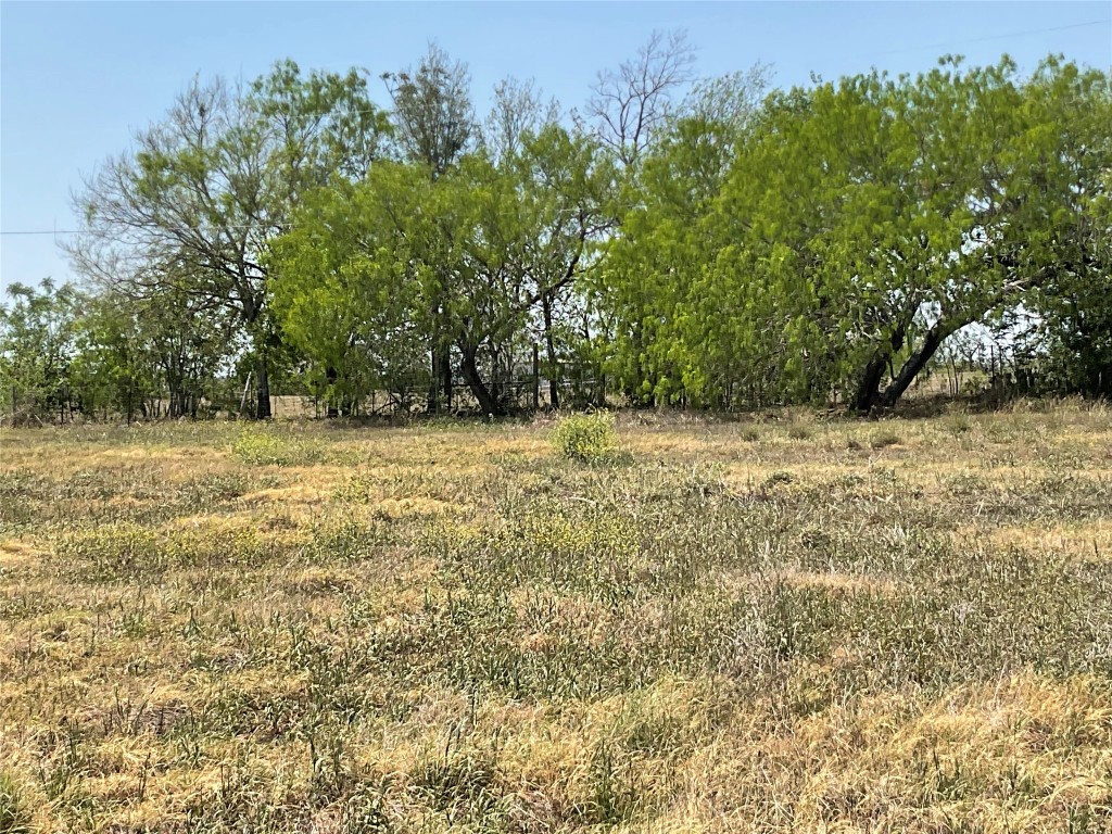 69 Horseshoe Drive Property Photo 3