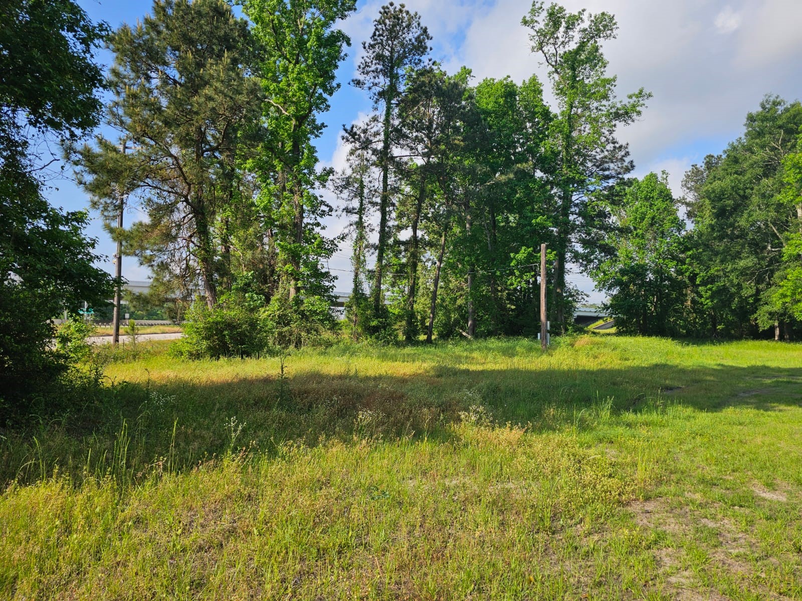 1190 Highway 59 S Property Photo 2