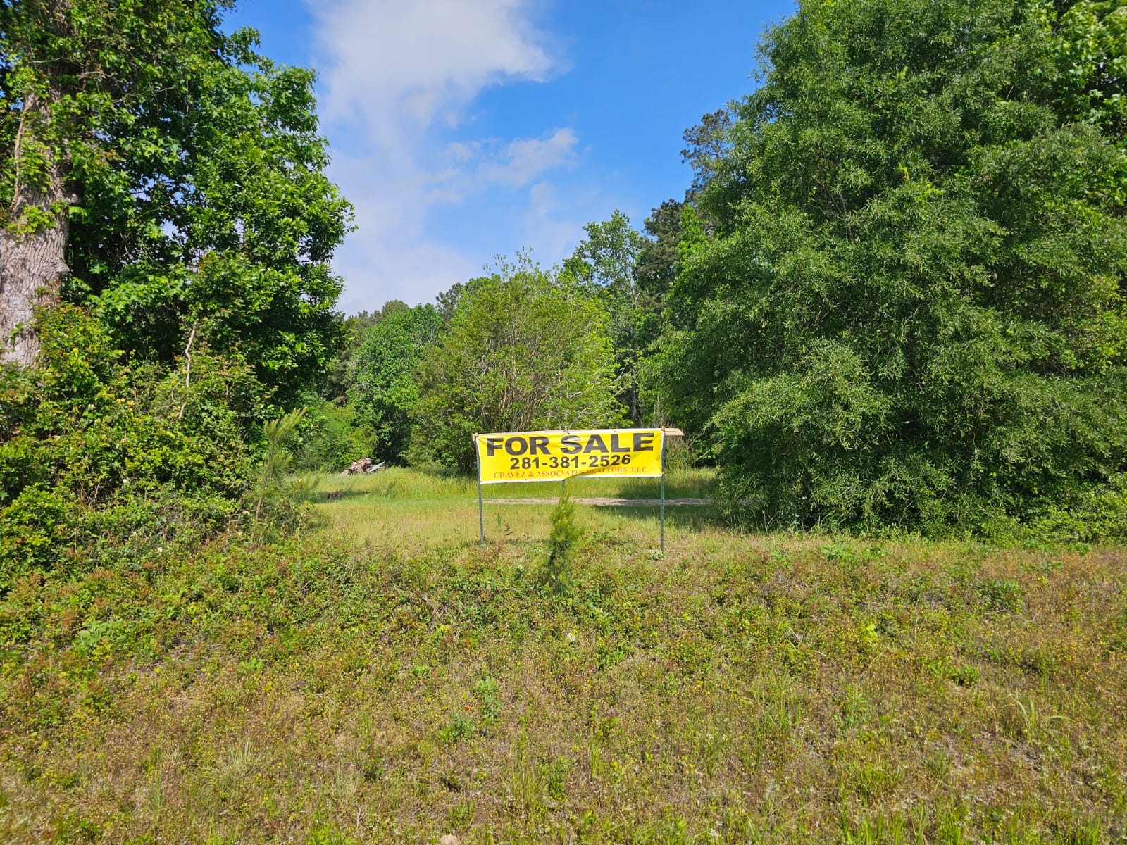 1190 Highway 59 S Property Photo 4