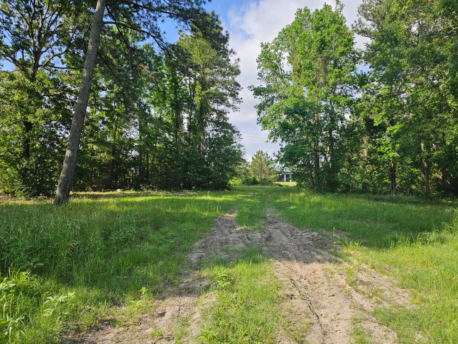 1190 Highway 59 S Property Photo 6