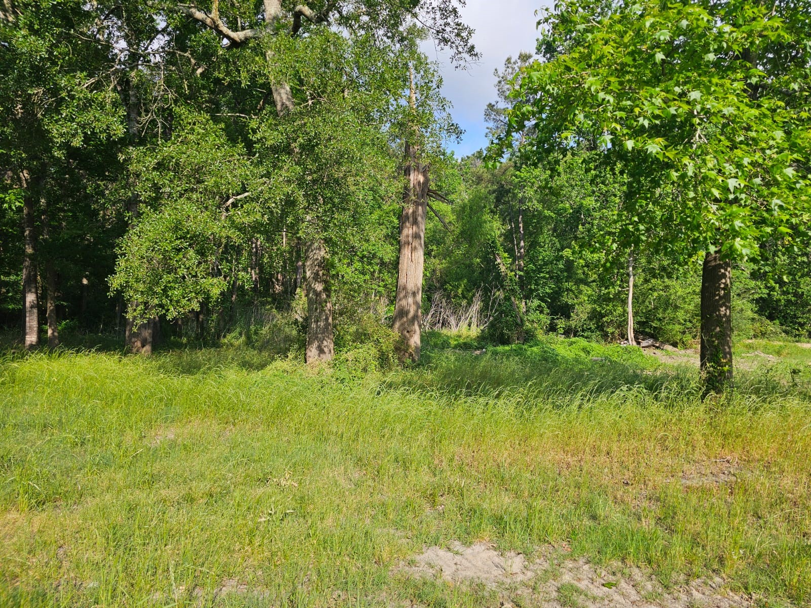 1190 Highway 59 S Property Photo 7