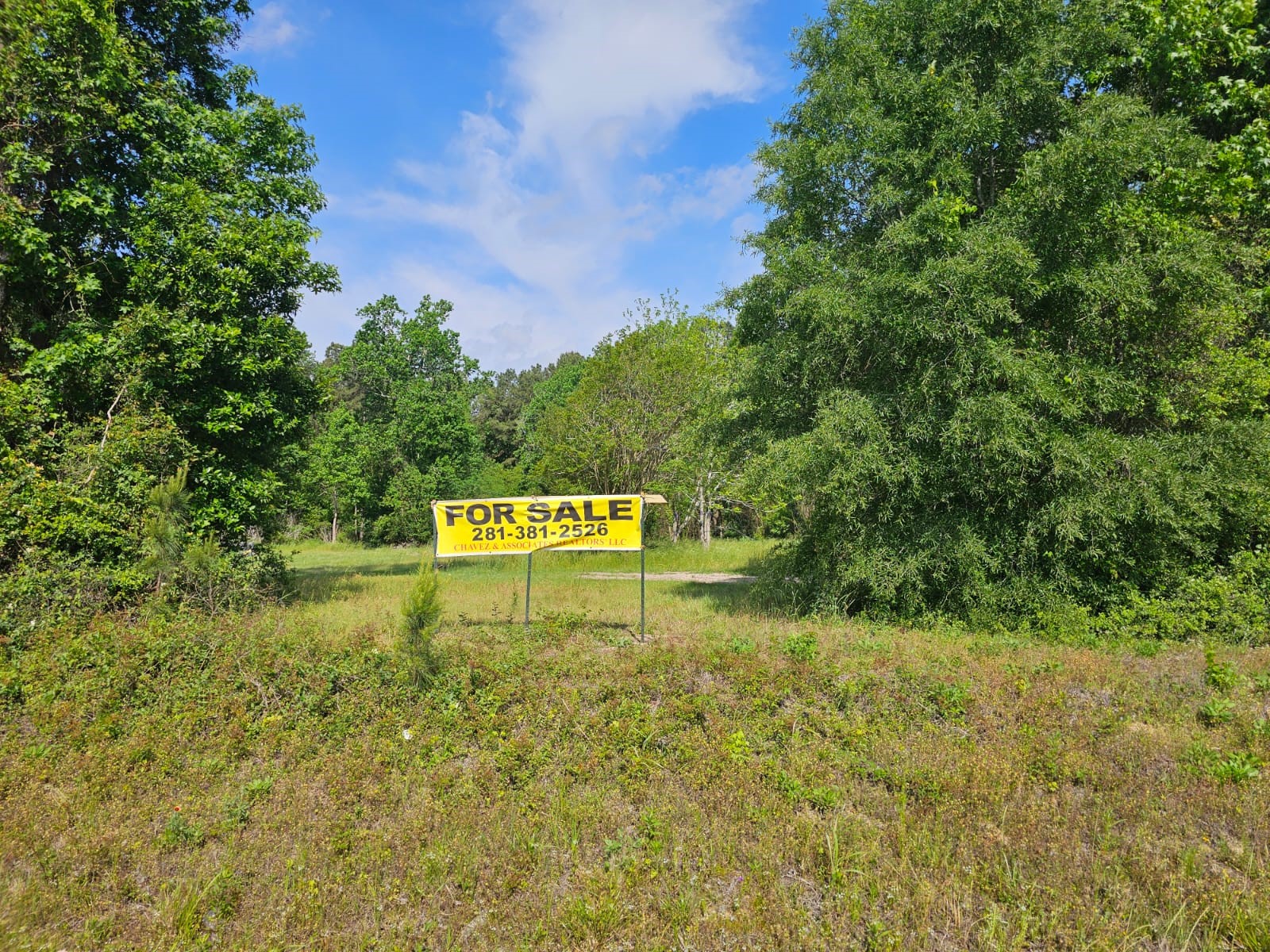 1190 Highway 59 S Property Photo 8