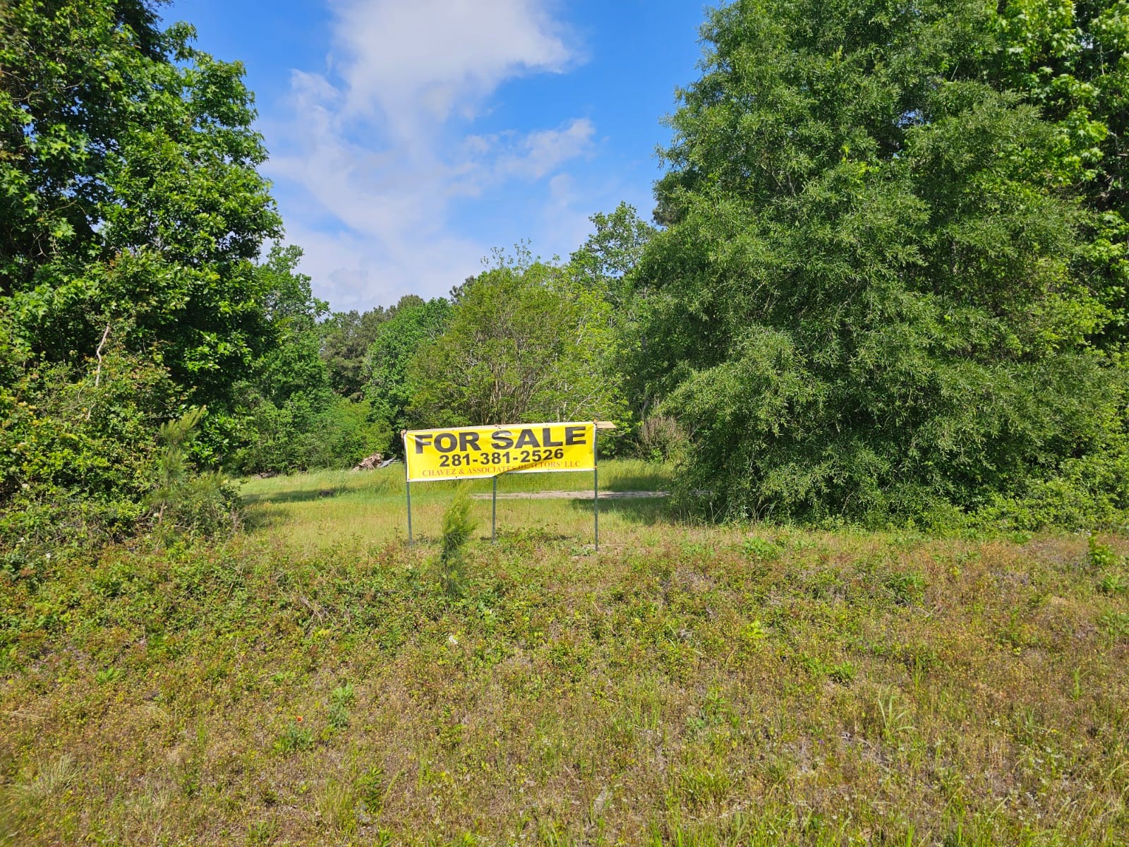 1190 Highway 59 S Property Photo 9