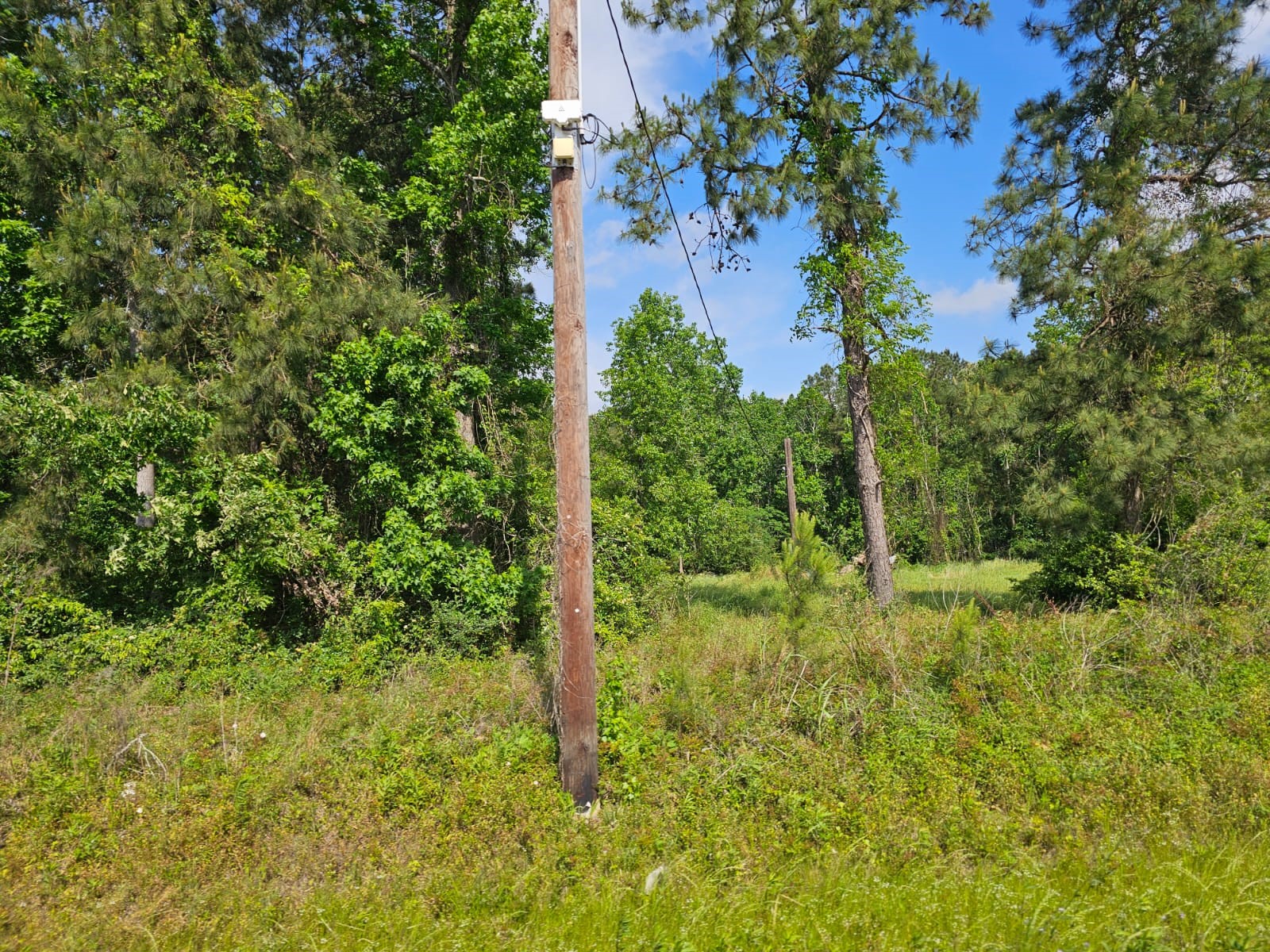 1190 Highway 59 S Property Photo 10