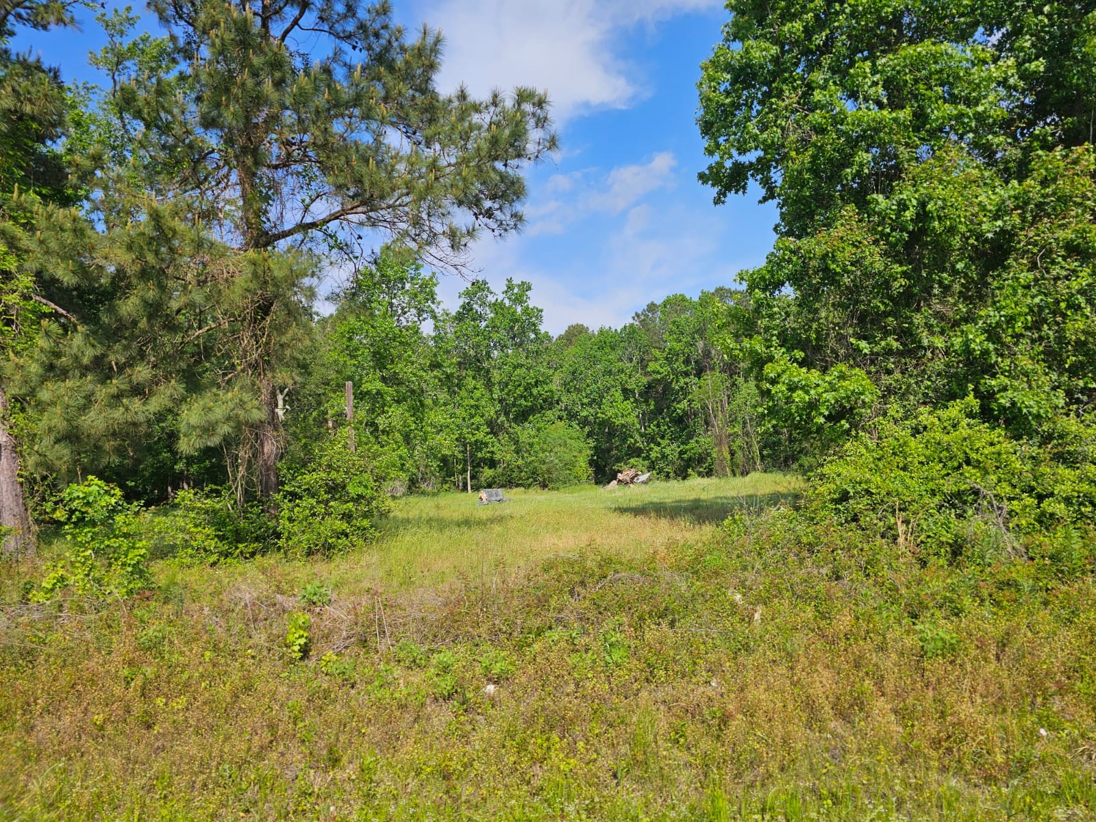 1190 Highway 59 S Property Photo 11