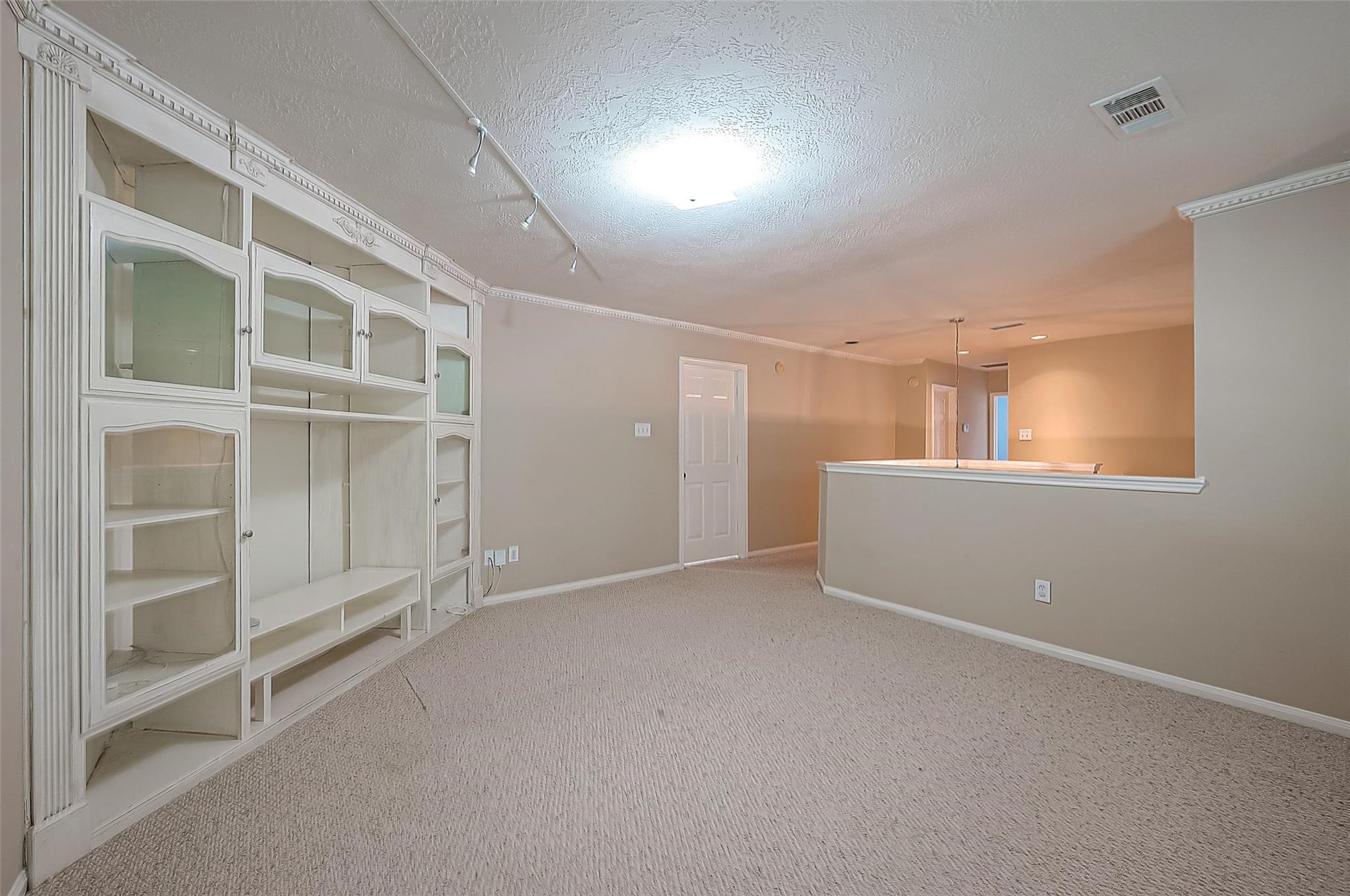 11111 Cactus Point Court Property Photo 19