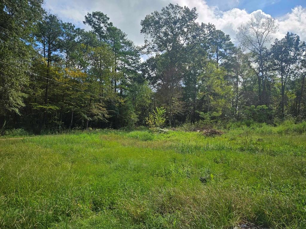 245 Red Cedar Lane Property Photo 1