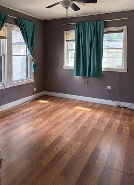 1011 West Phillips Street Property Photo 4
