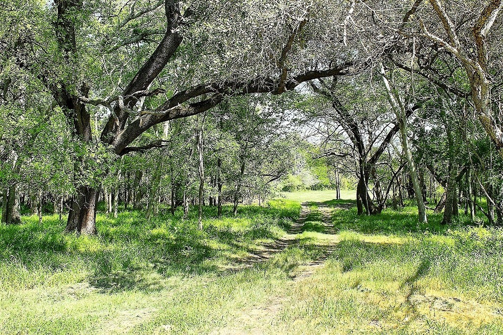 Tbd Scott Road Property Photo 1