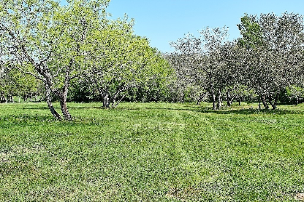 Tbd Scott Road Property Photo 2