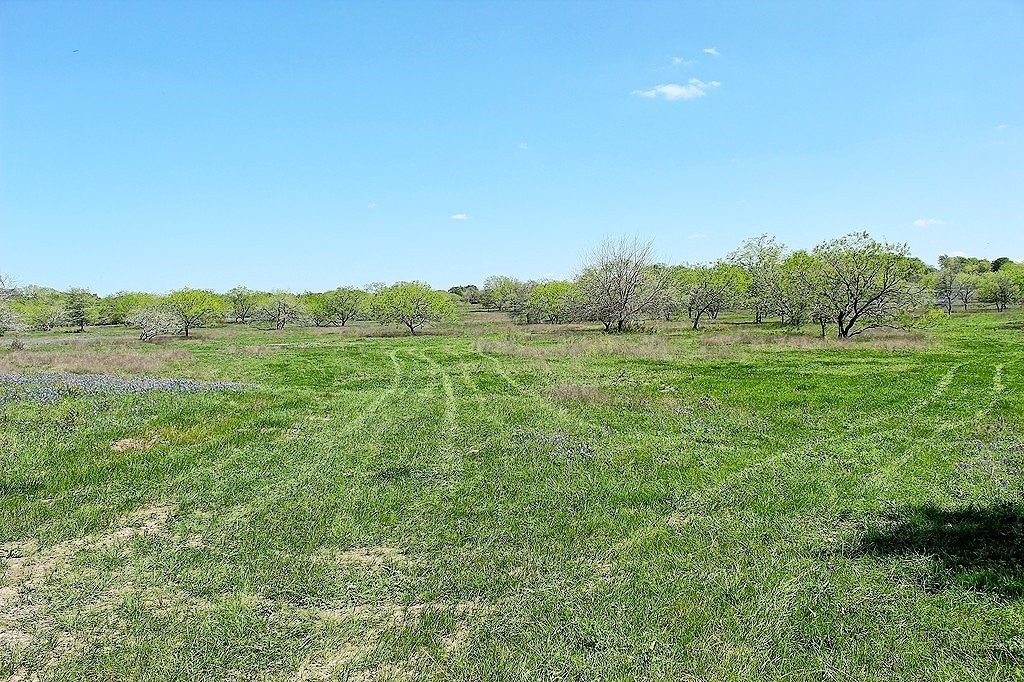 Tbd Scott Road Property Photo 5