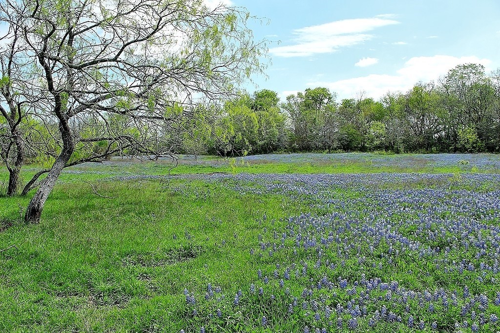 Tbd Scott Road Property Photo 8