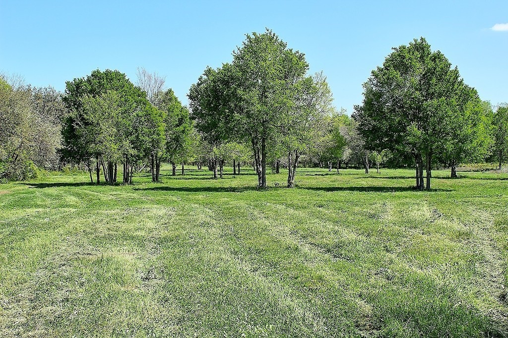 Tbd Scott Road Property Photo 12