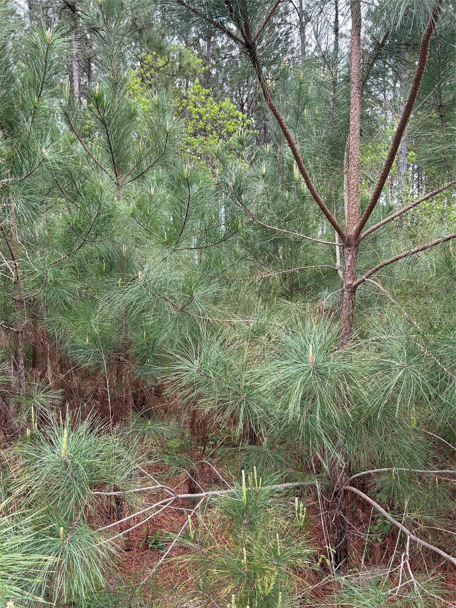 267 Road 5102 Property Photo 1