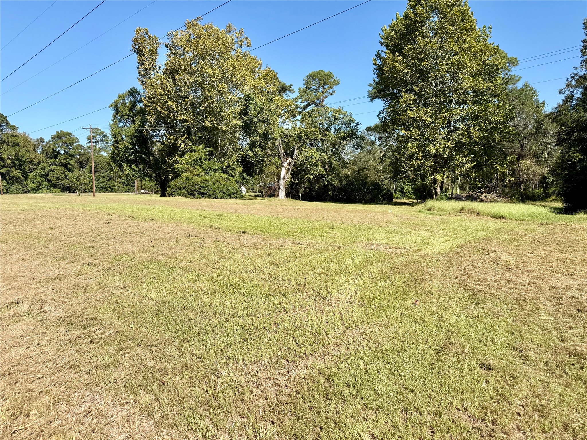 Tbd Highway 146 N Property Photo 6