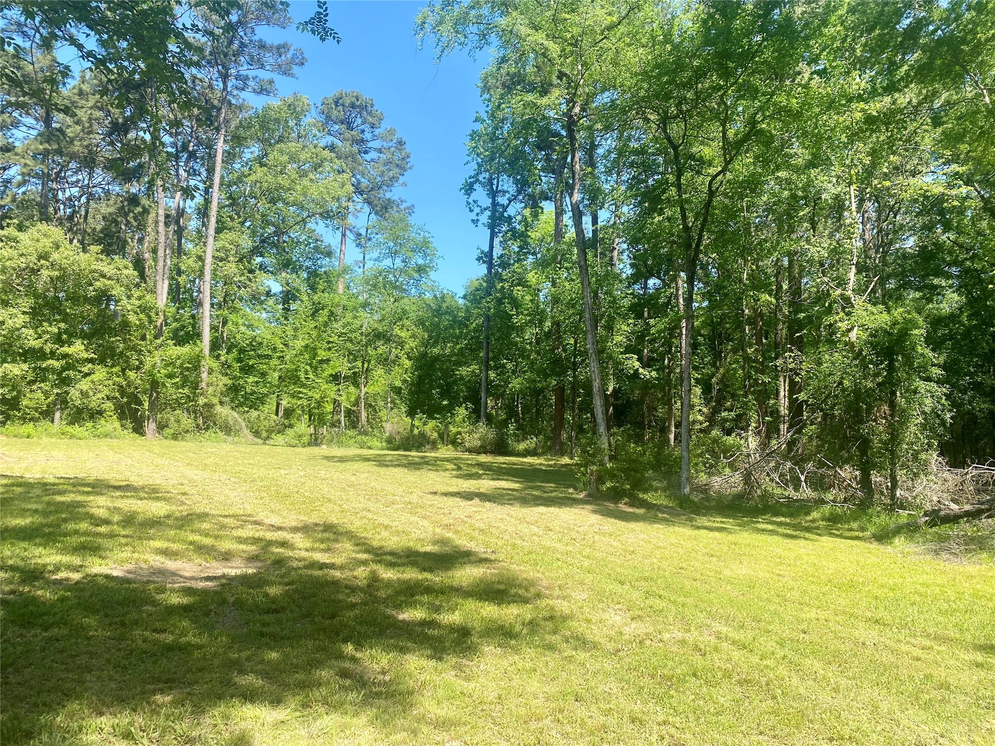 TR 29 Oak Pine Drive Property Photo 1