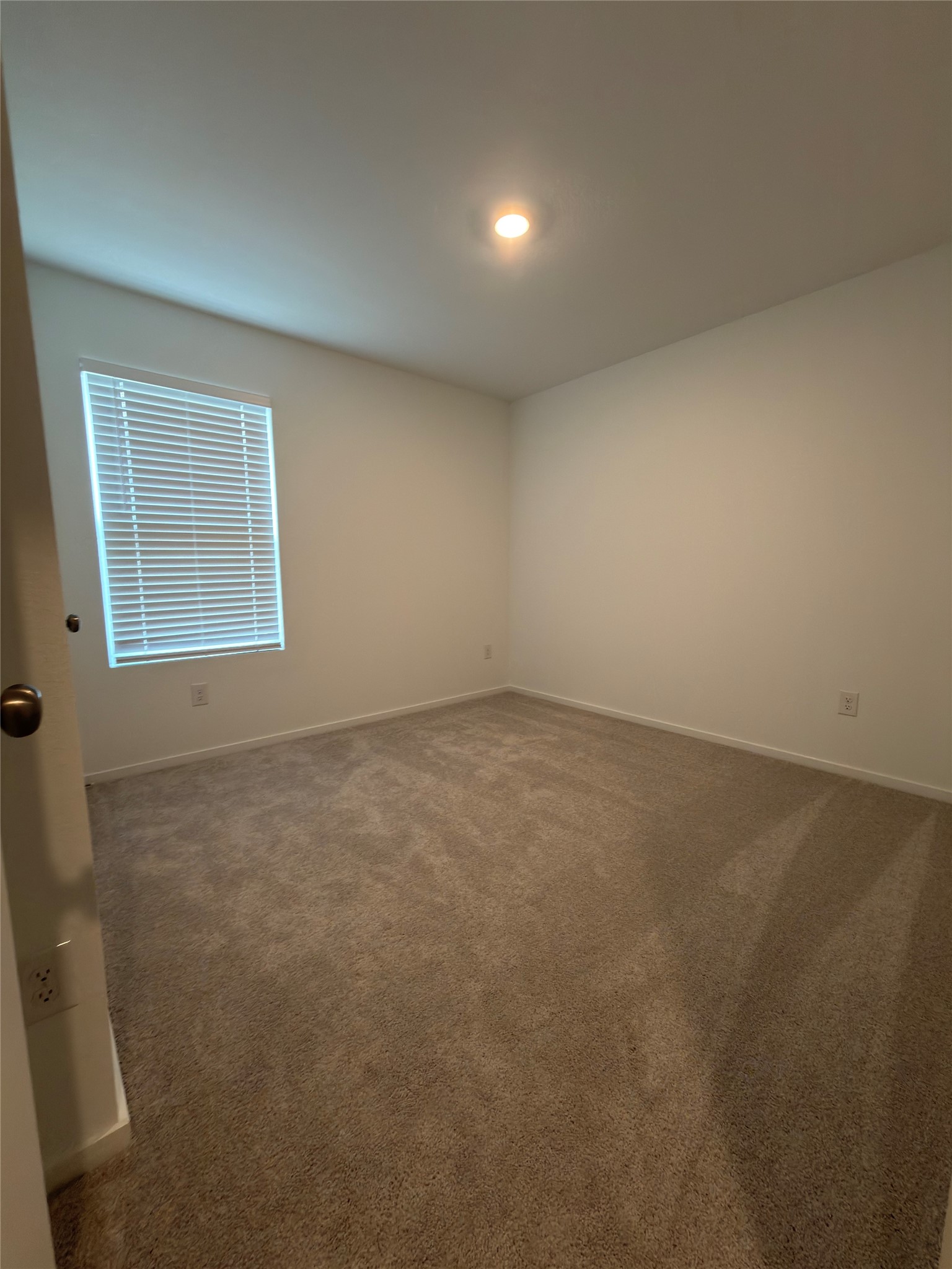1515 Golden Iris Drive Property Photo 10
