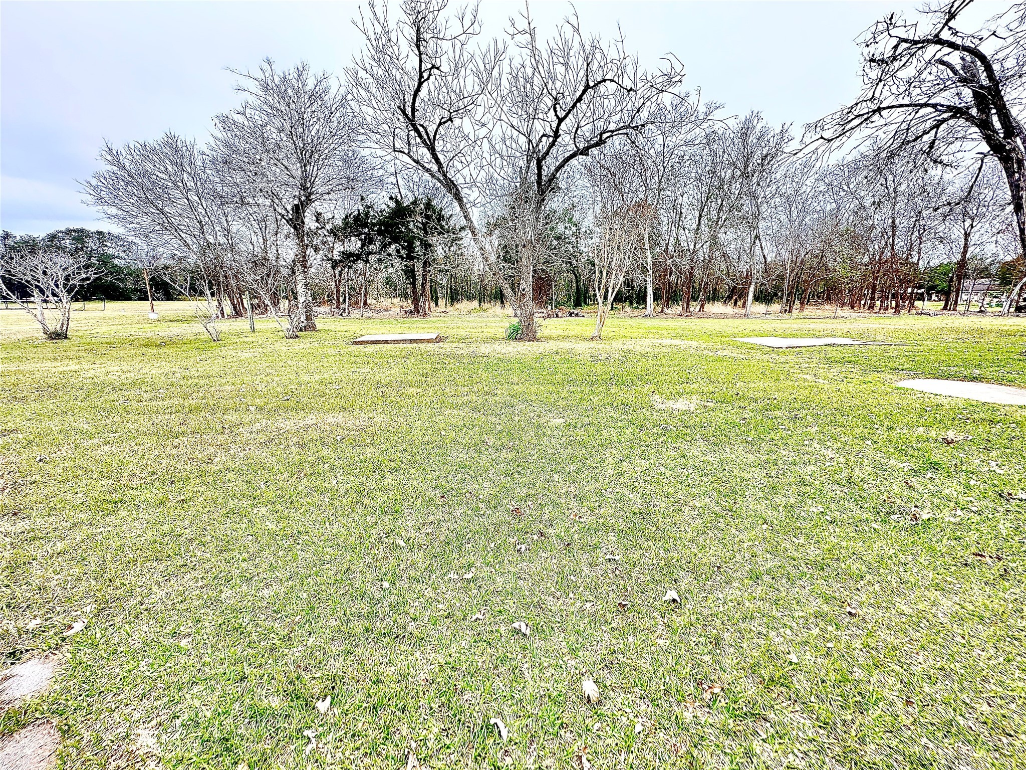 731 S Gilbert Street Property Photo 4