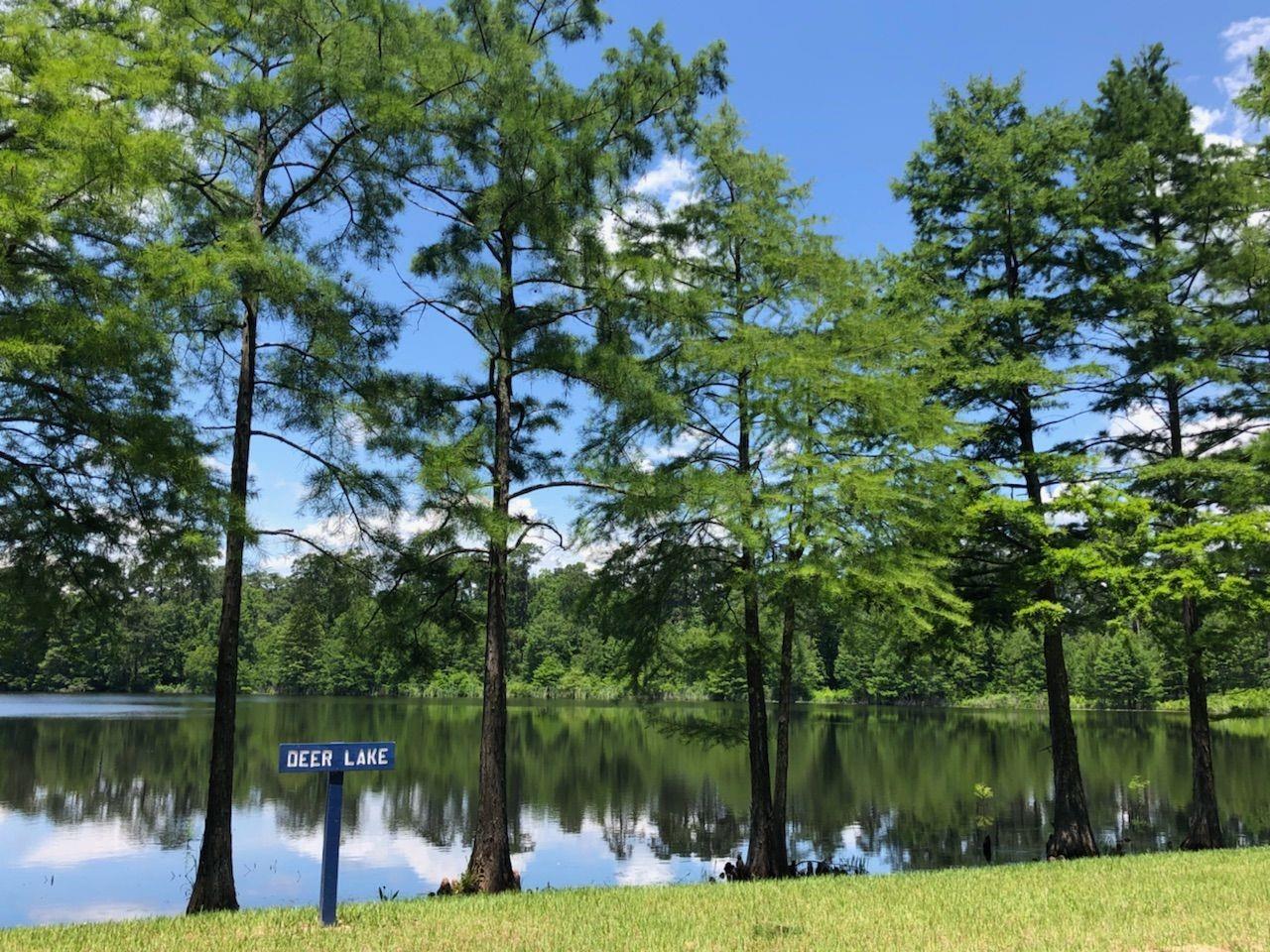 386 Mulberry Creek Street, Conroe Tx 77304 Property Photo 34