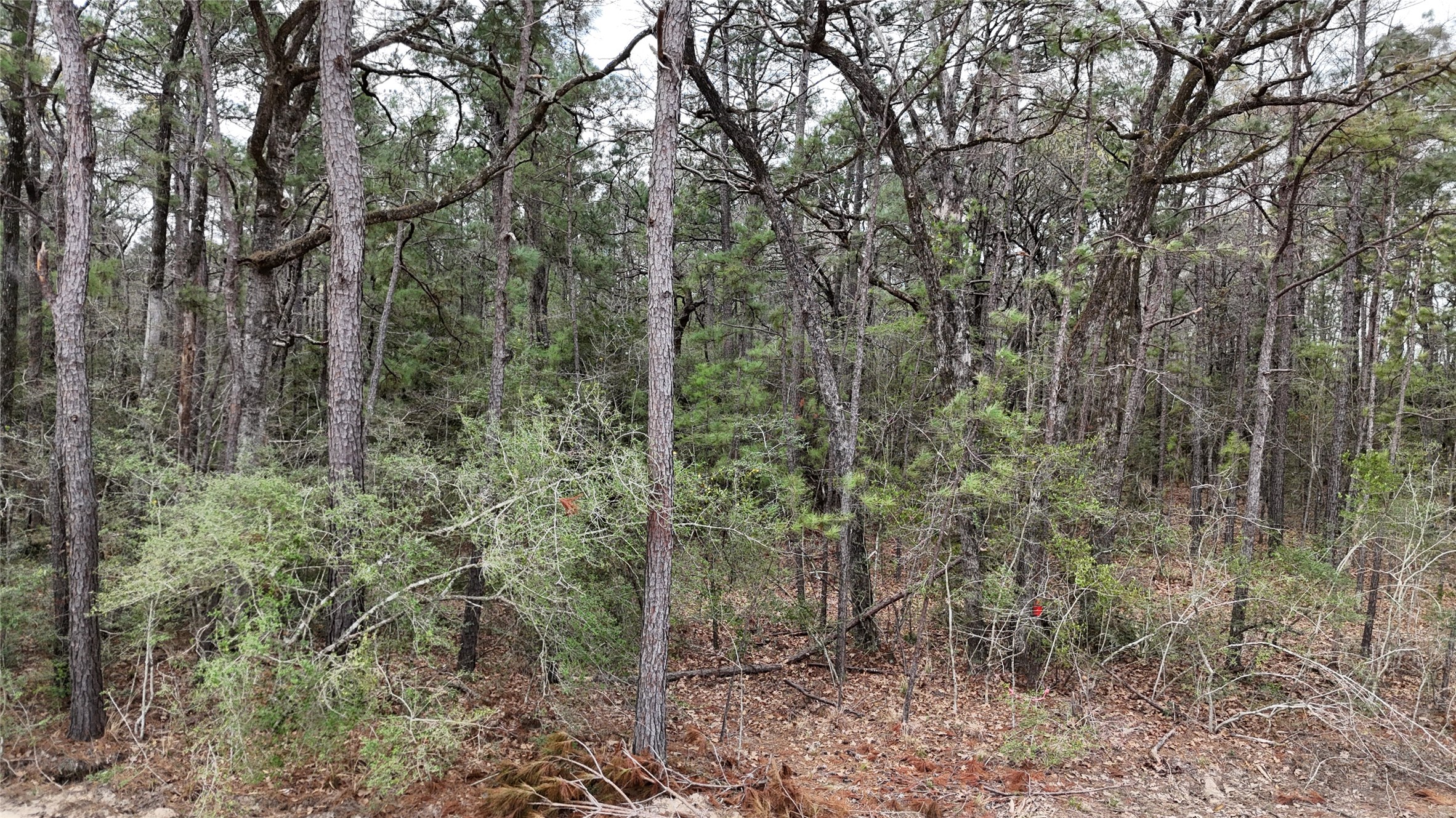 Tbd Eureka Property Photo 1