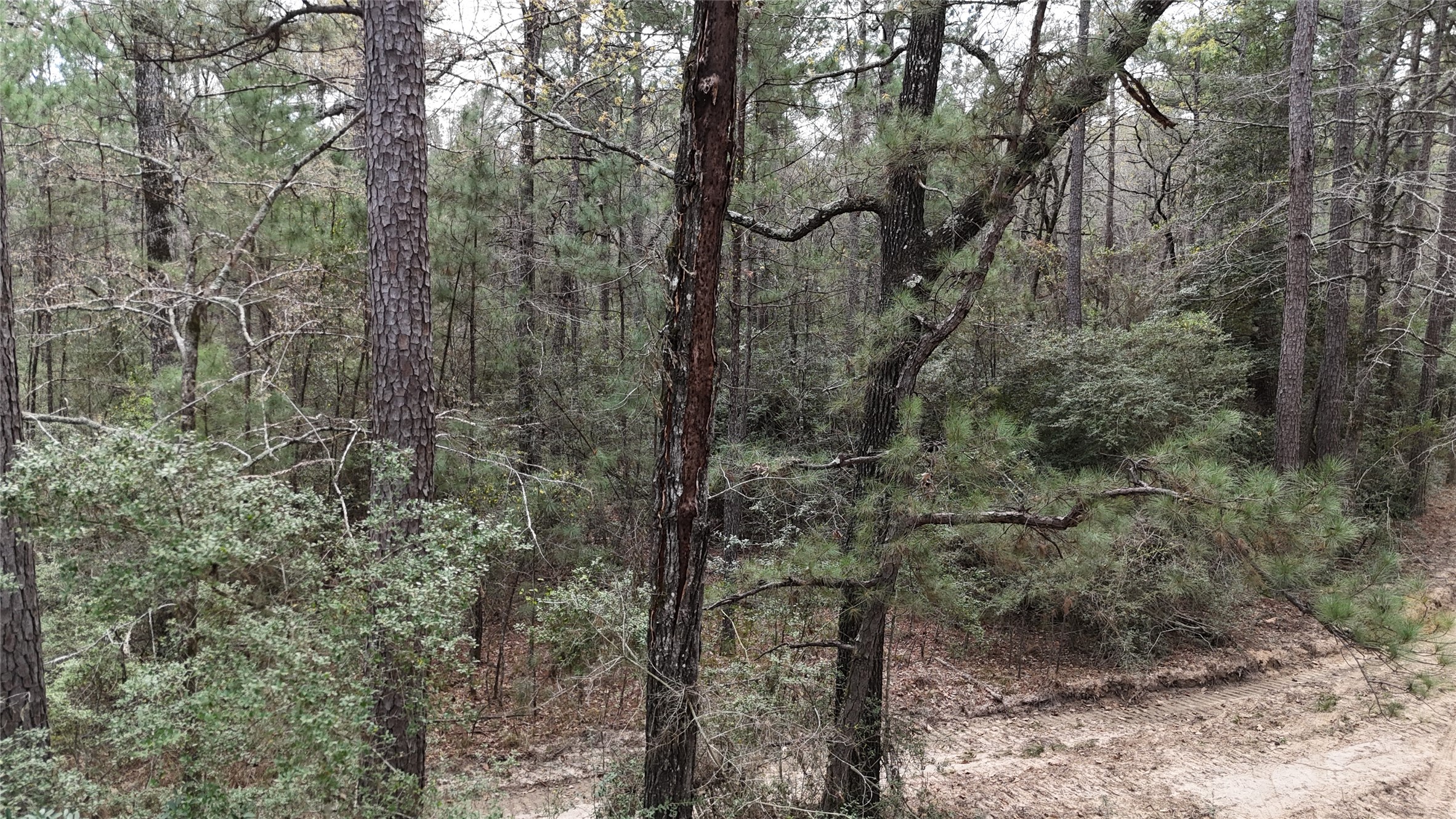 Tbd Eureka Property Photo 5