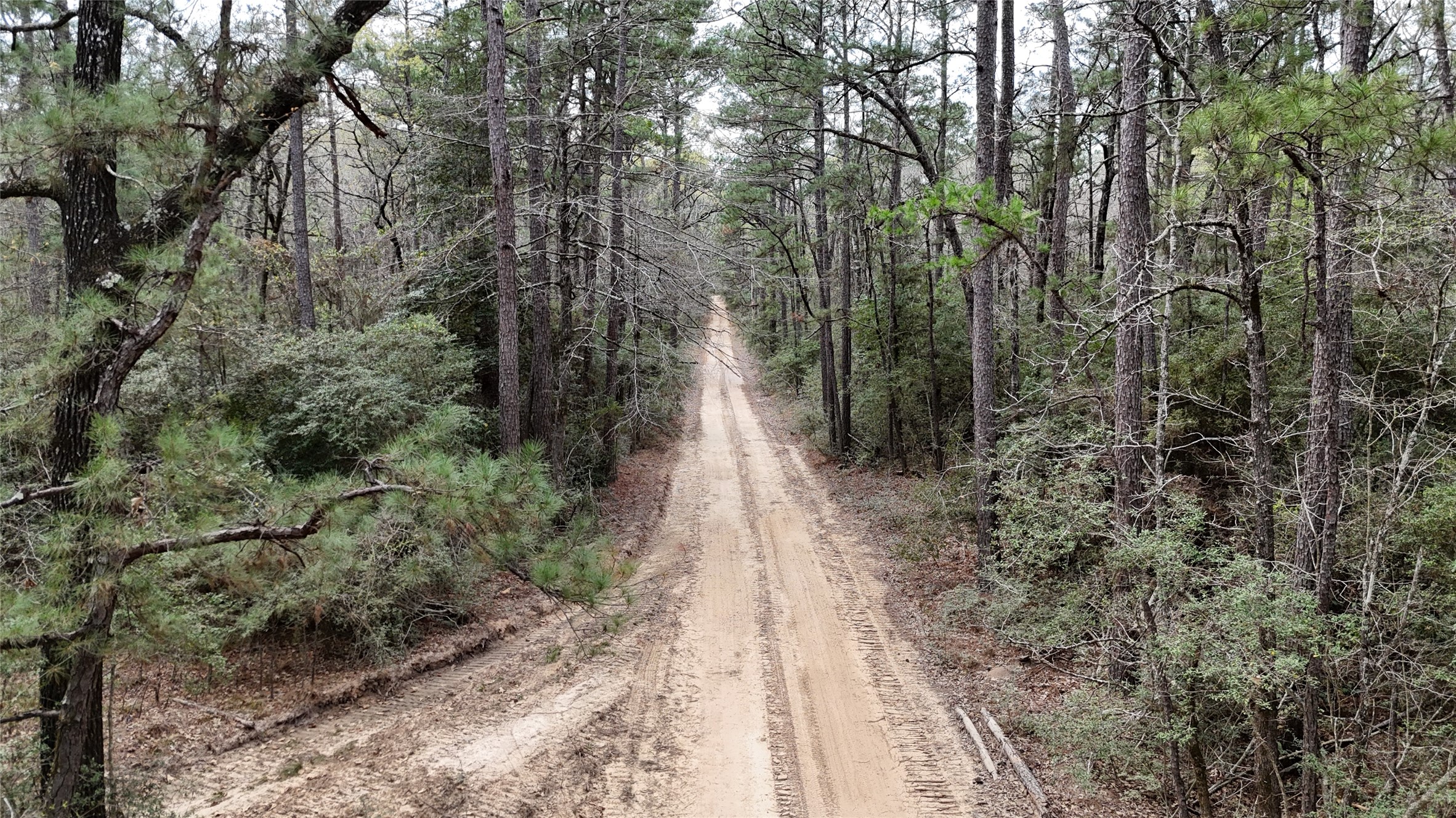 Tbd Eureka Property Photo 6