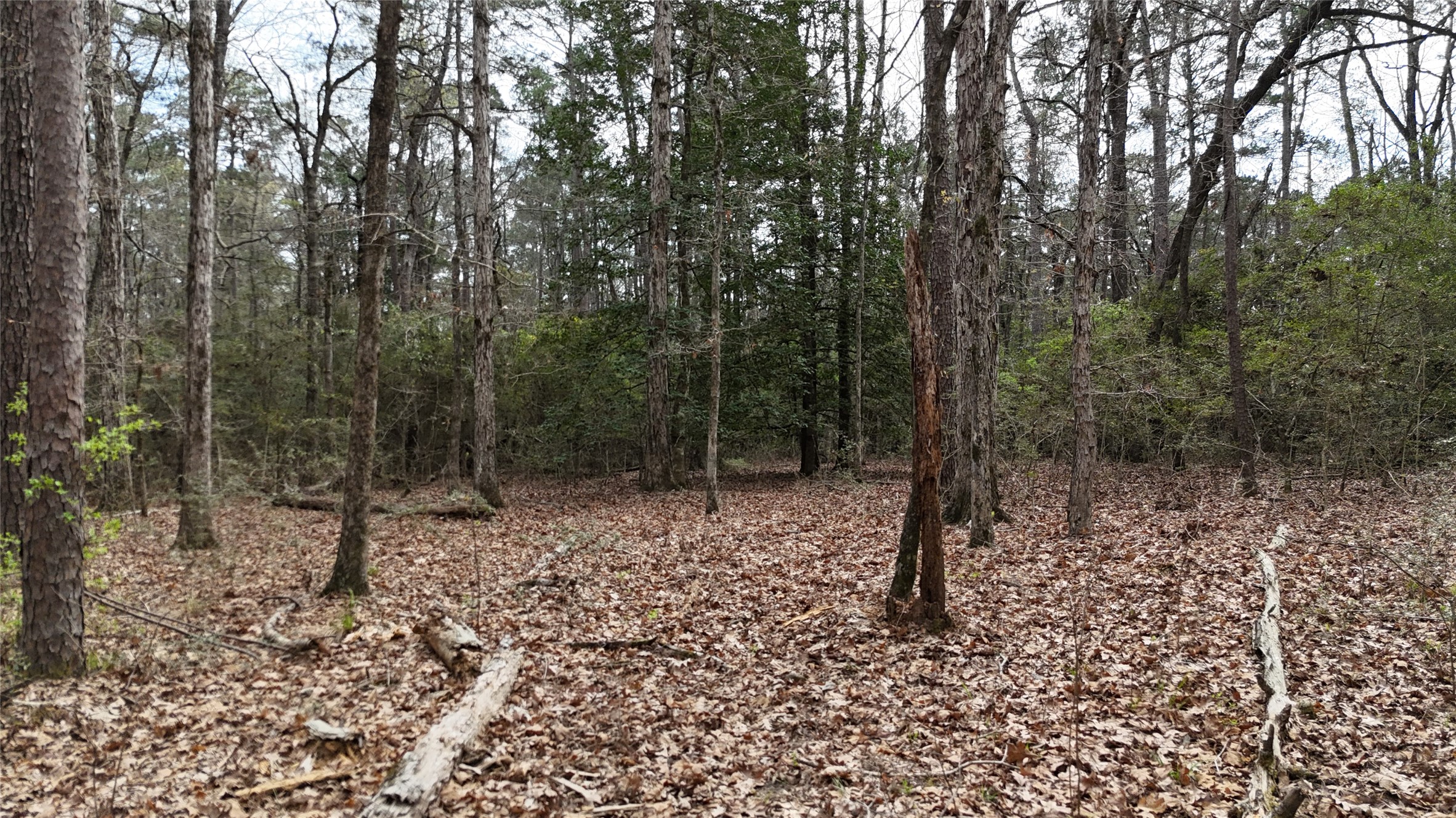Tbd Eureka Property Photo 7