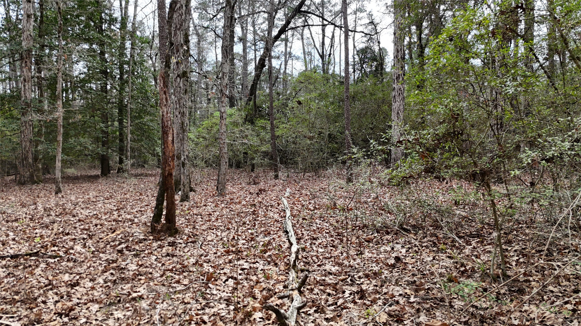 Tbd Eureka Property Photo 8