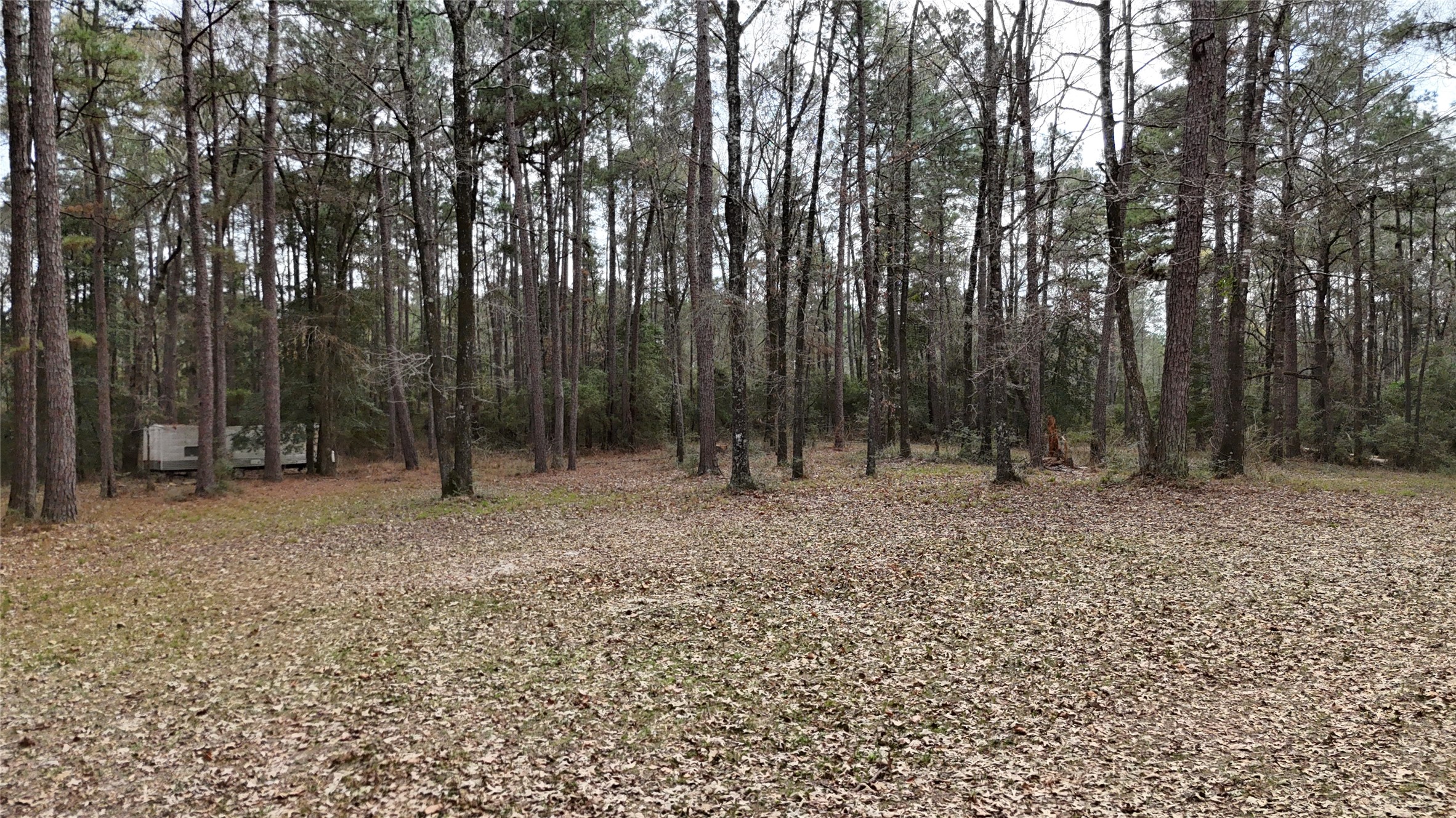 Tbd Eureka Property Photo 12