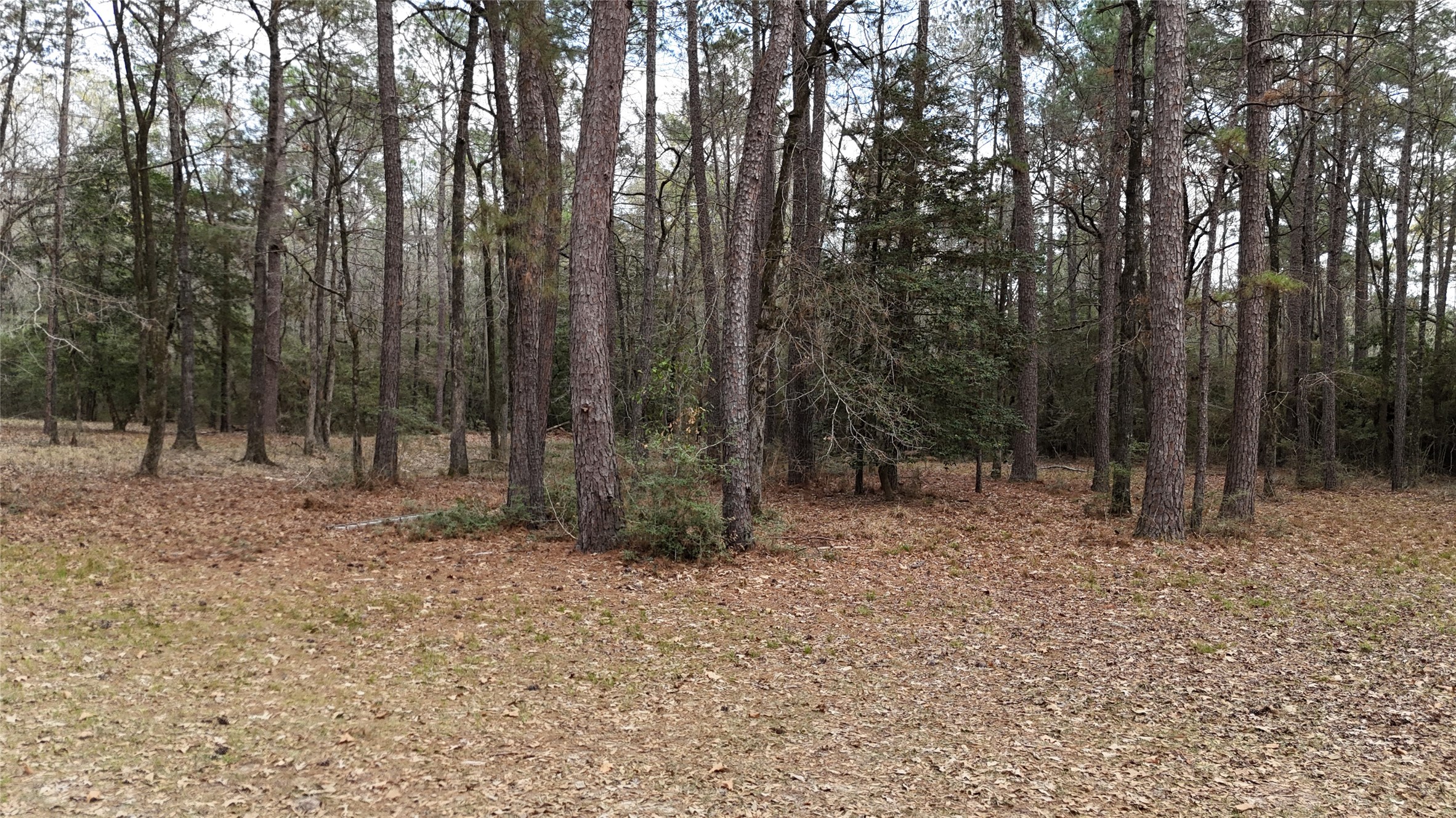 Tbd Eureka Property Photo 13