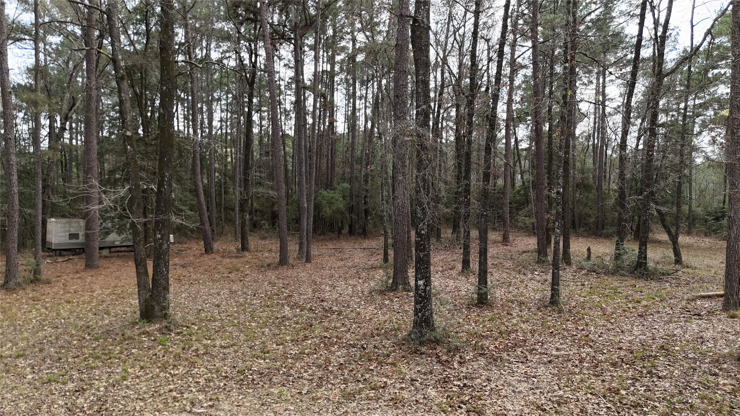 Tbd Eureka Property Photo 15