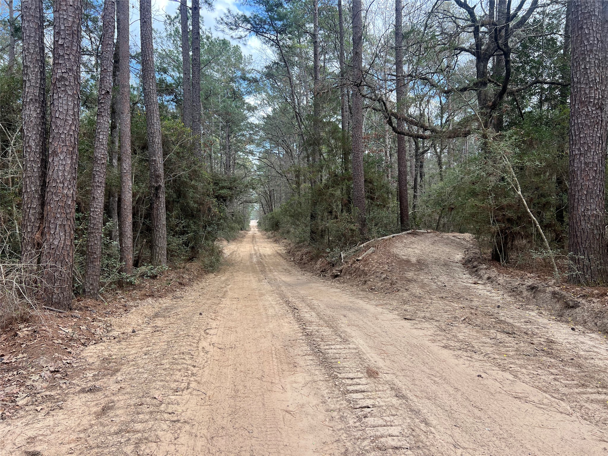 Tbd Eureka Property Photo 22