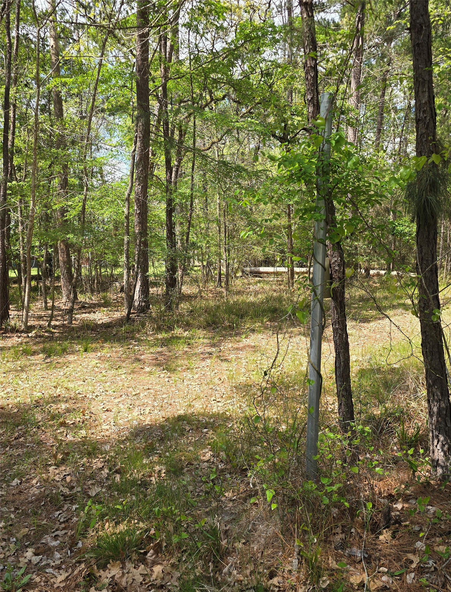 0 Elm Drive Drive Property Photo 3