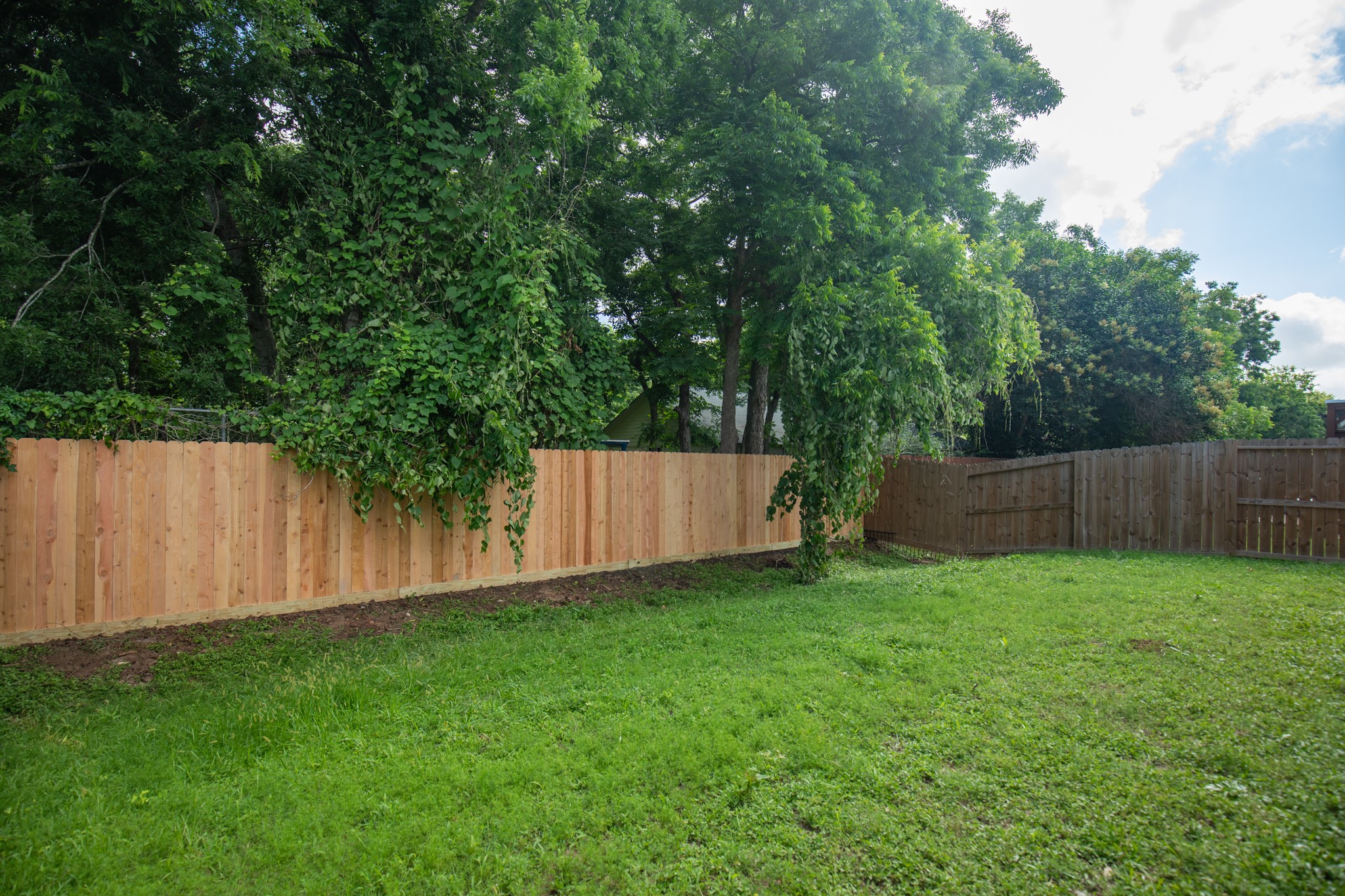16510 Pademelon Drive Property Photo 39