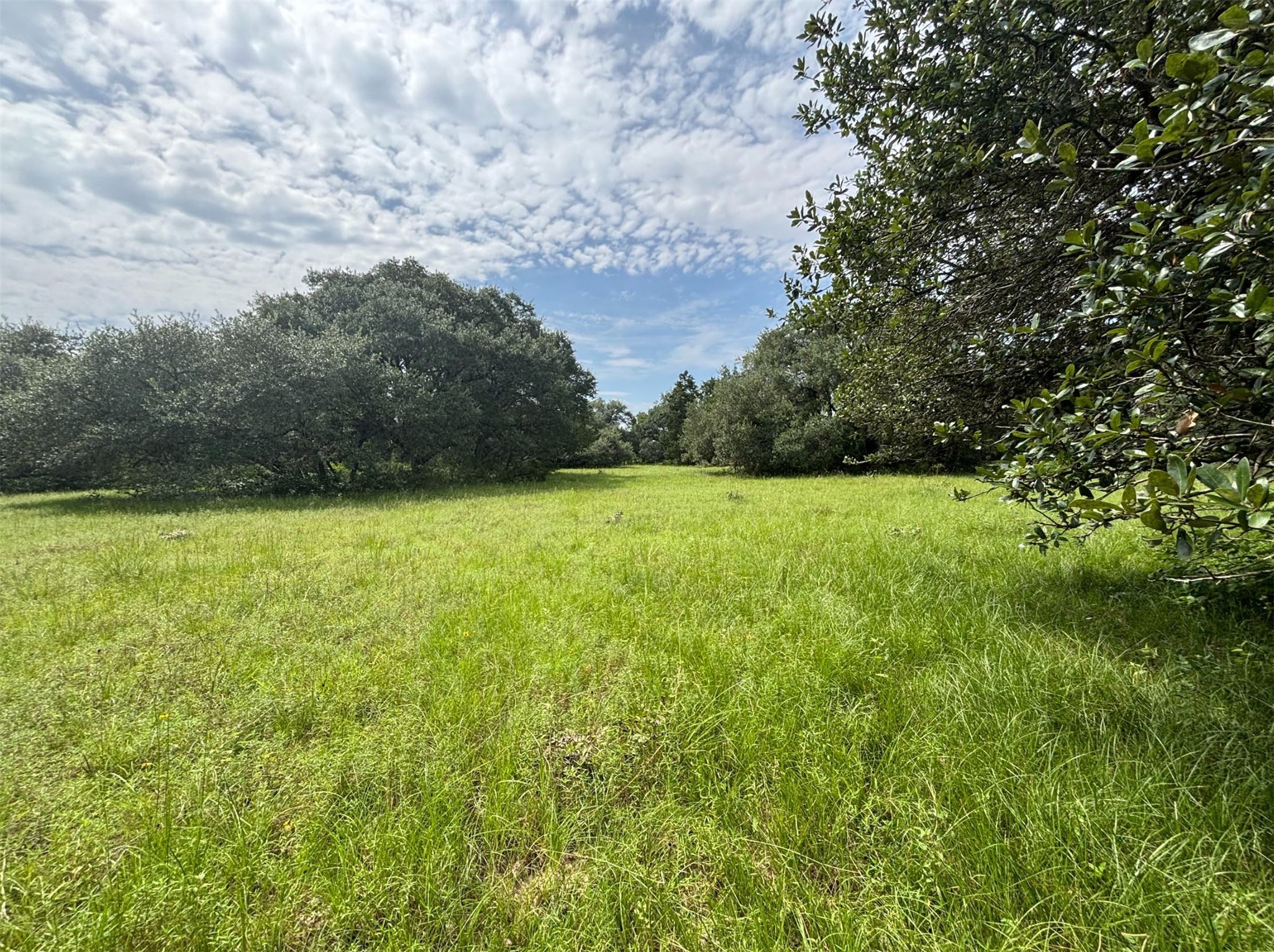 000 Frantz Road Property Photo 1