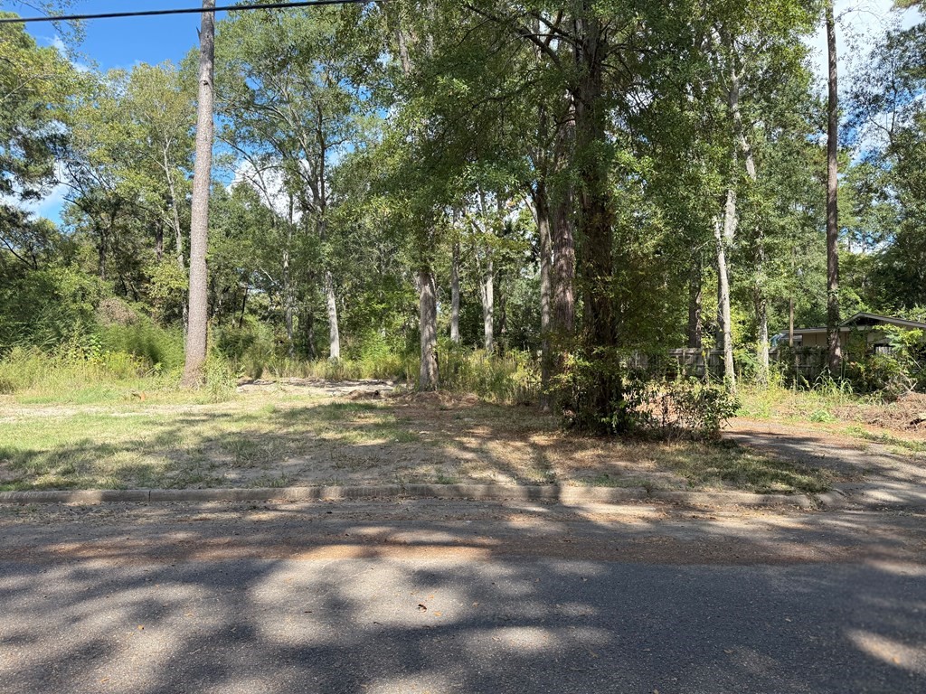 Pid 159835 Broadmoor Drive Property Photo 5