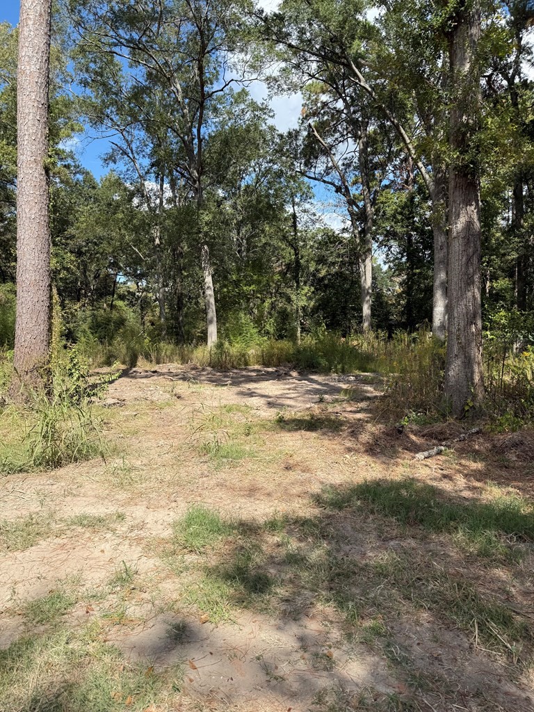 Pid 159835 Broadmoor Drive Property Photo 6