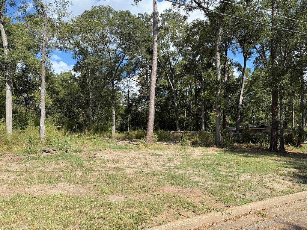 Pid 159835 Broadmoor Drive Property Photo 8