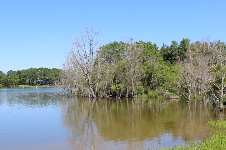 Lot 8 Hickory Lane Property Photo 5
