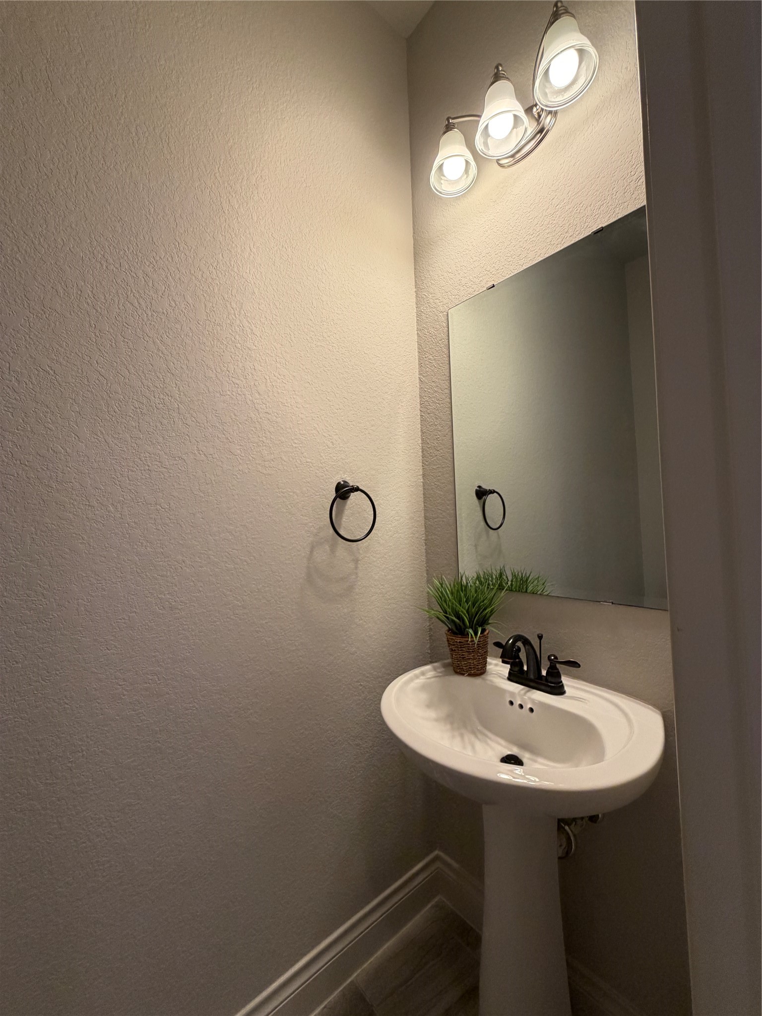 3319 Sky Run Court Property Photo 20