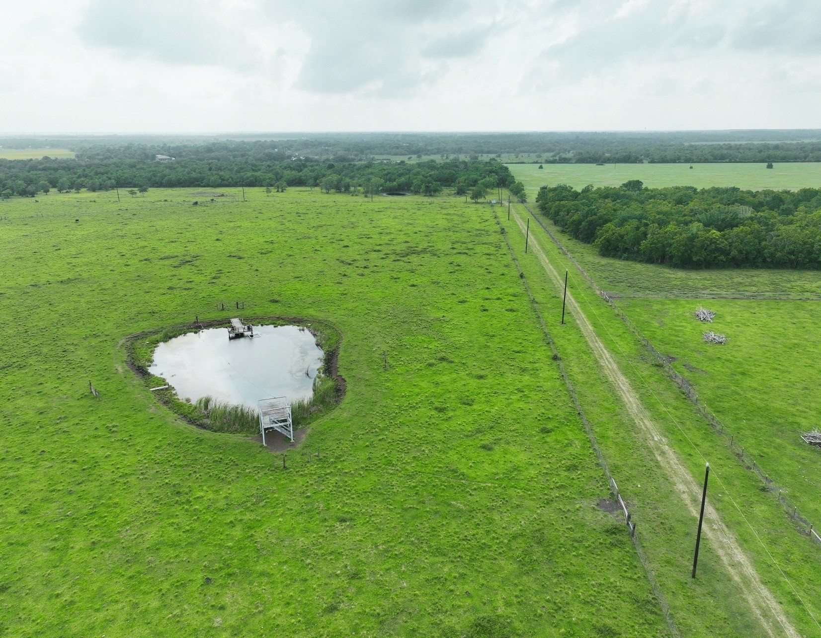Tbd County Road 200 Property Photo 5