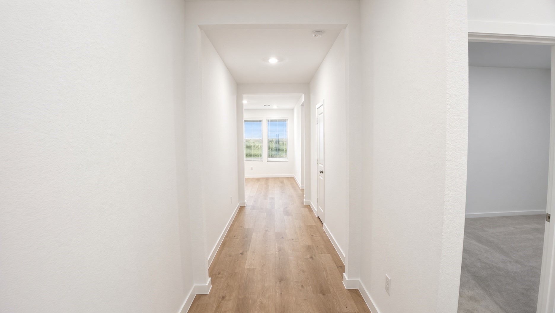 8202 Rustic Pine Trail Property Photo 10