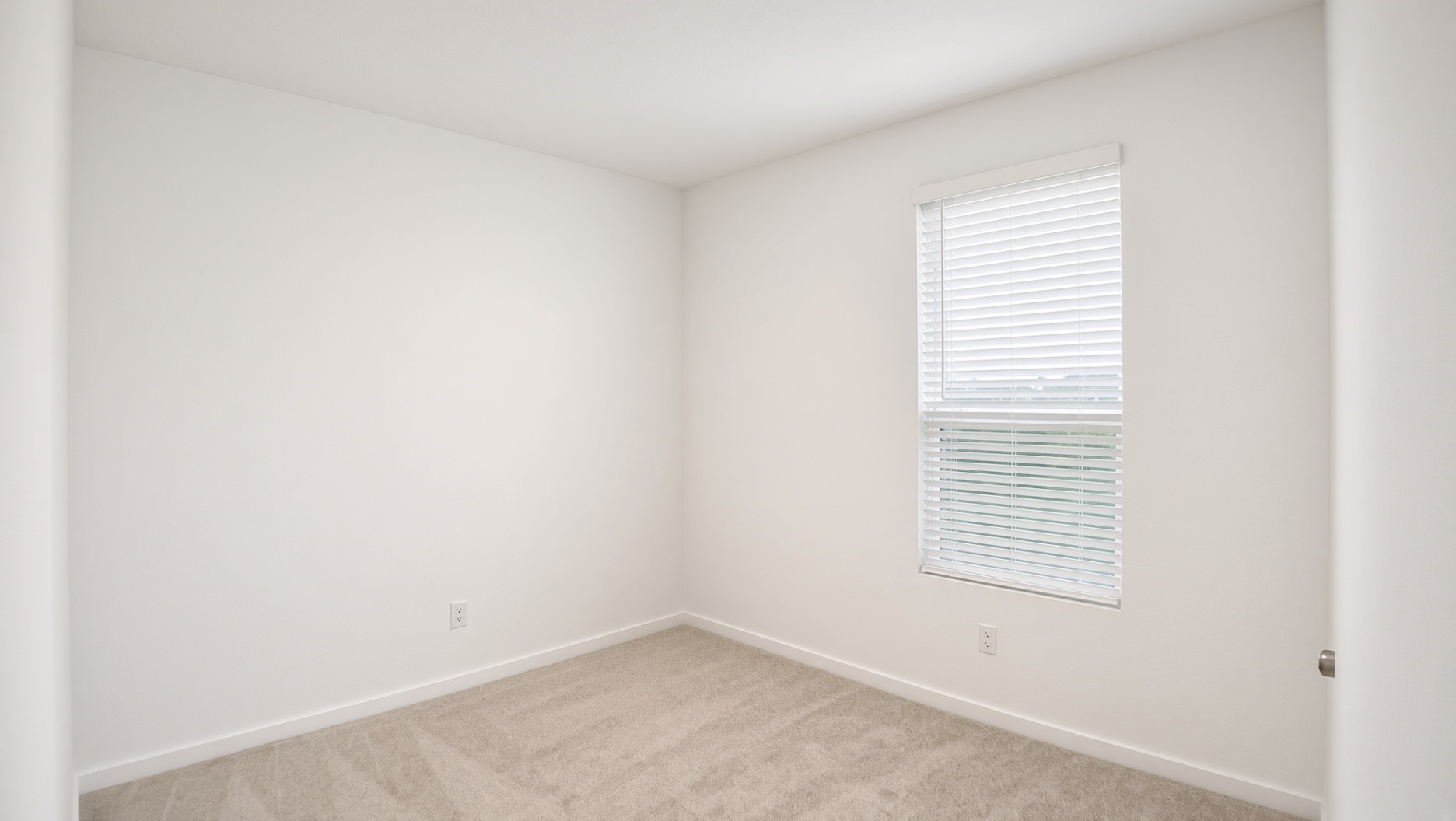 8202 Rustic Pine Trail Property Photo 23