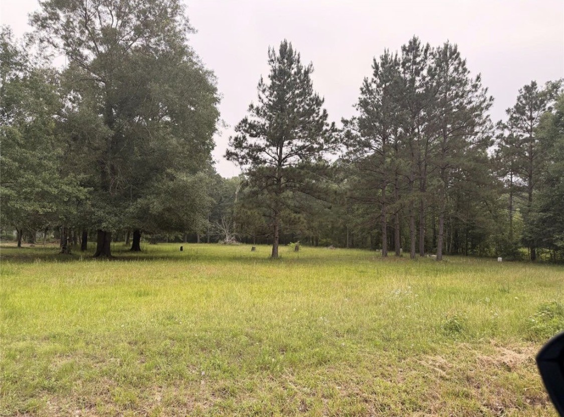 0 Forest Trl Property Photo 1