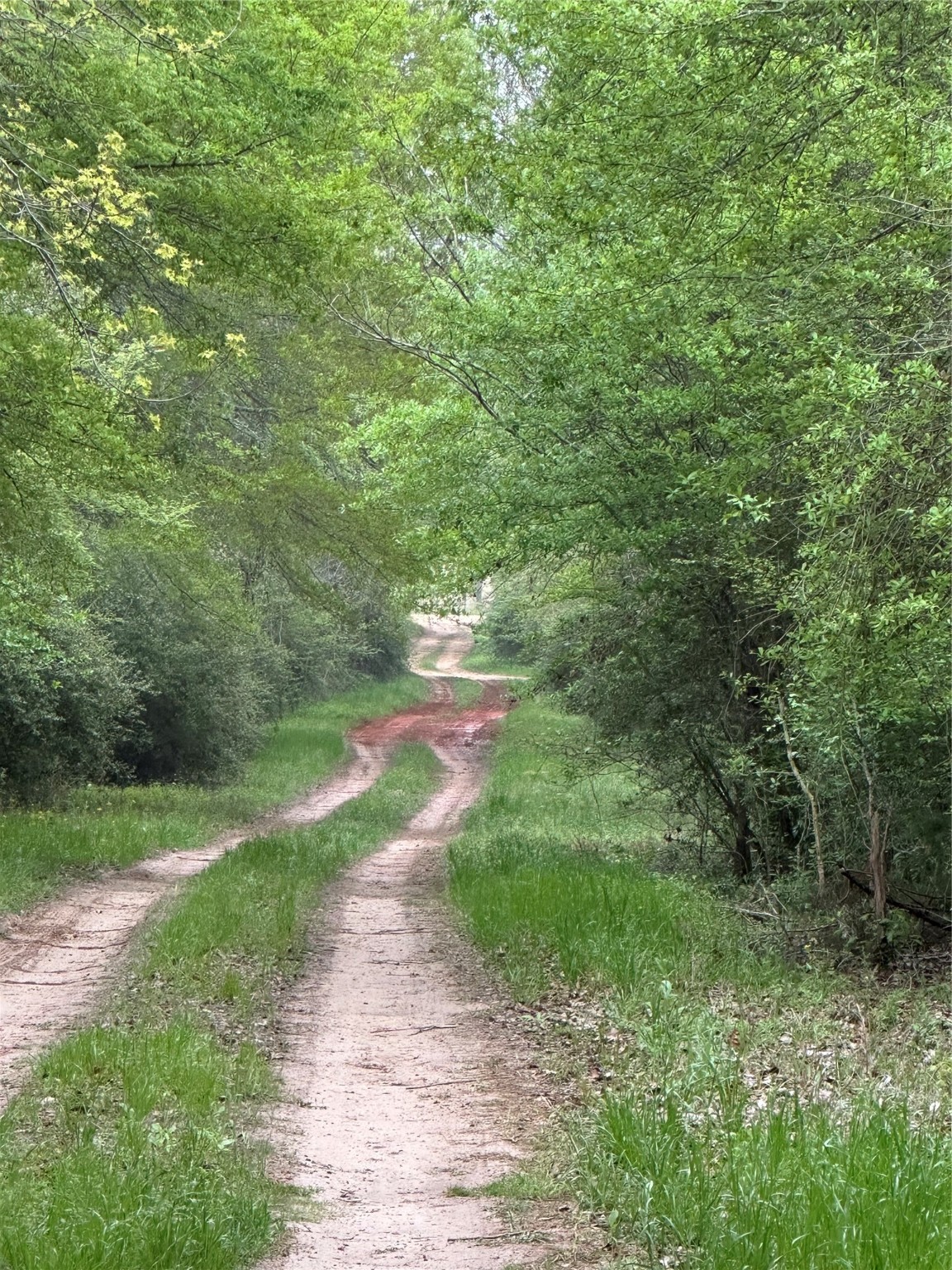 TBD Private Road 3591